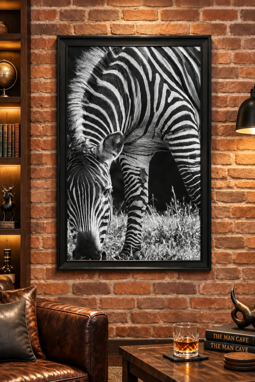 Black and white close-up photograph of a zebra grazing in grass, with the animal filling most of the frame.