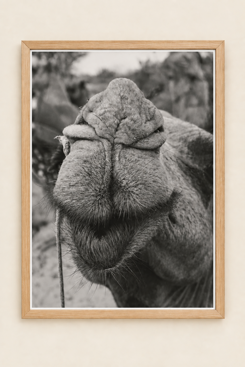 'Camel kiss' print