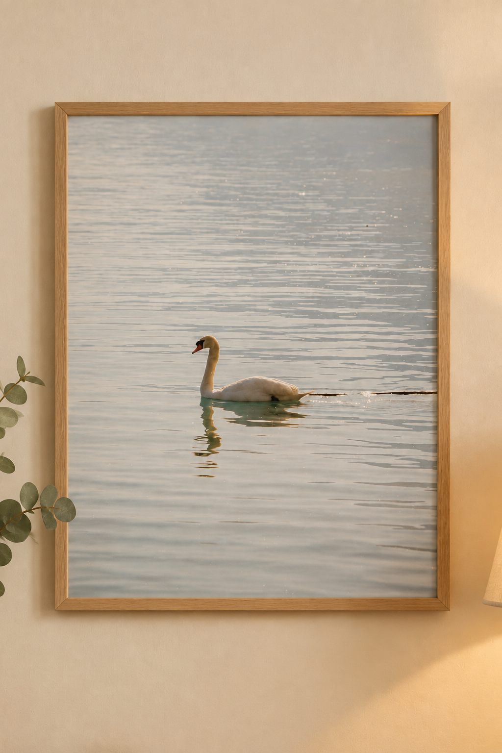 Swan gliding across calm water in a light wooden frame without a white border