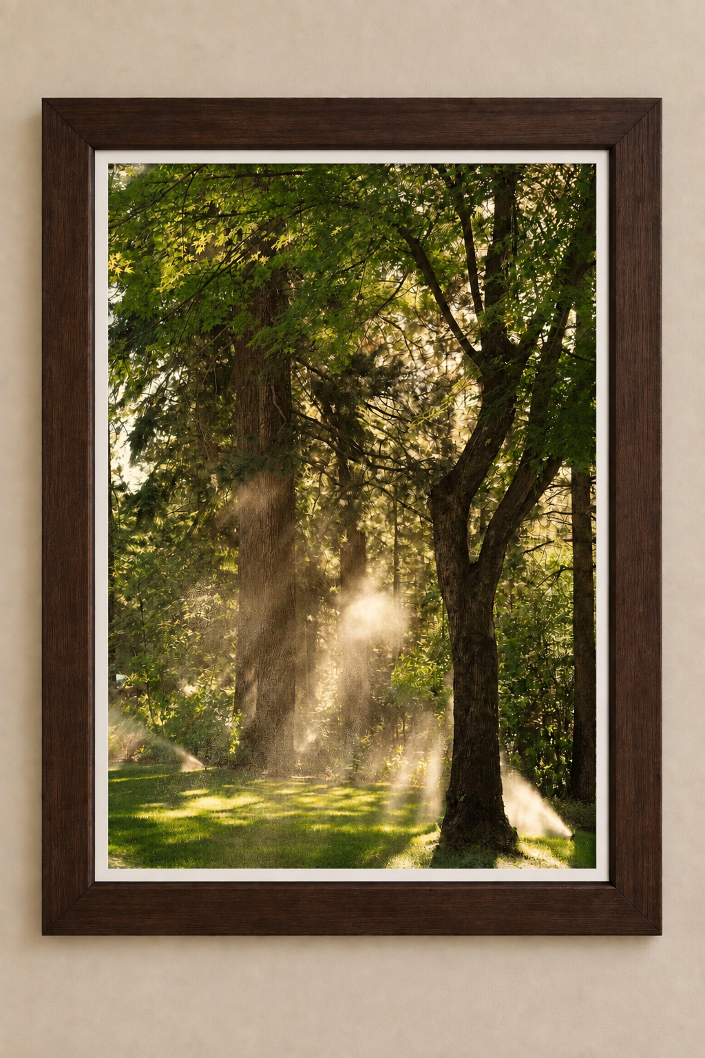 Sunlit green woodland photograph in a dark brown wooden frame with a white border